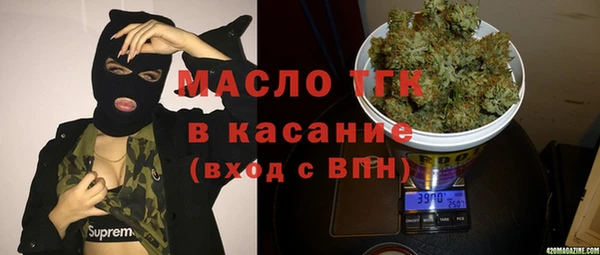 хмурый Алексин