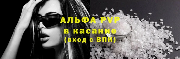хмурый Алзамай