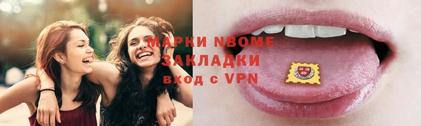 хмурый Алексин