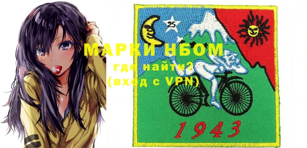 хмурый Алексин