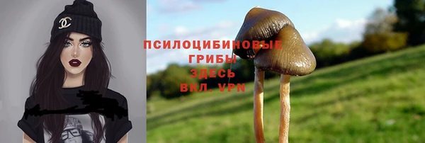 хмурый Алзамай