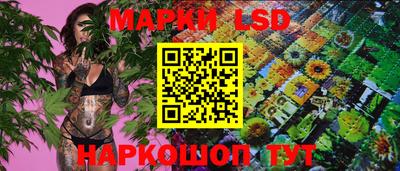 гашик Нальчик