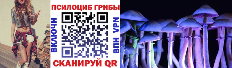Псилоцибиновые грибы прущие грибы  Переславль-Залесский 