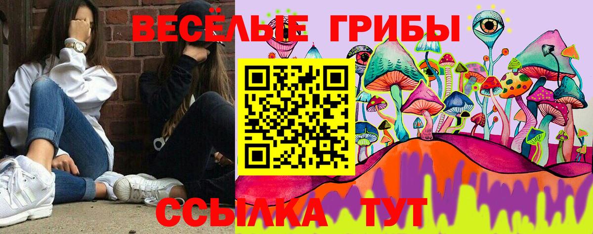 даркнет сайт  Галлюциногенные грибы Cubensis  Вход с VPN  Переславль-Залесский 